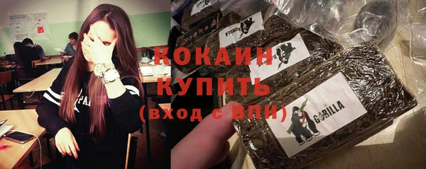 spice Алзамай
