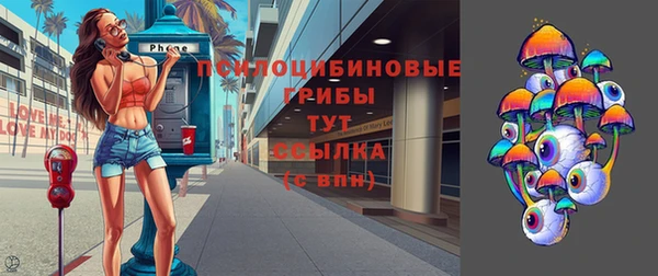 круглые Алексеевка