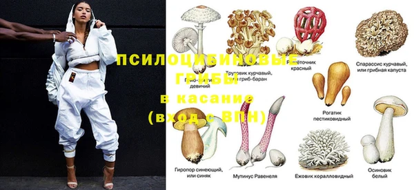 экстази Алексин