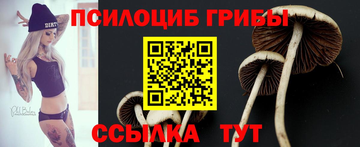 Галлюциногенные грибы MAGIC MUSHROOMS Бахчисарай