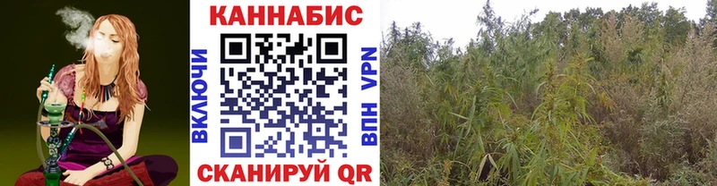 Канабис тримм  наркота  Бахчисарай 